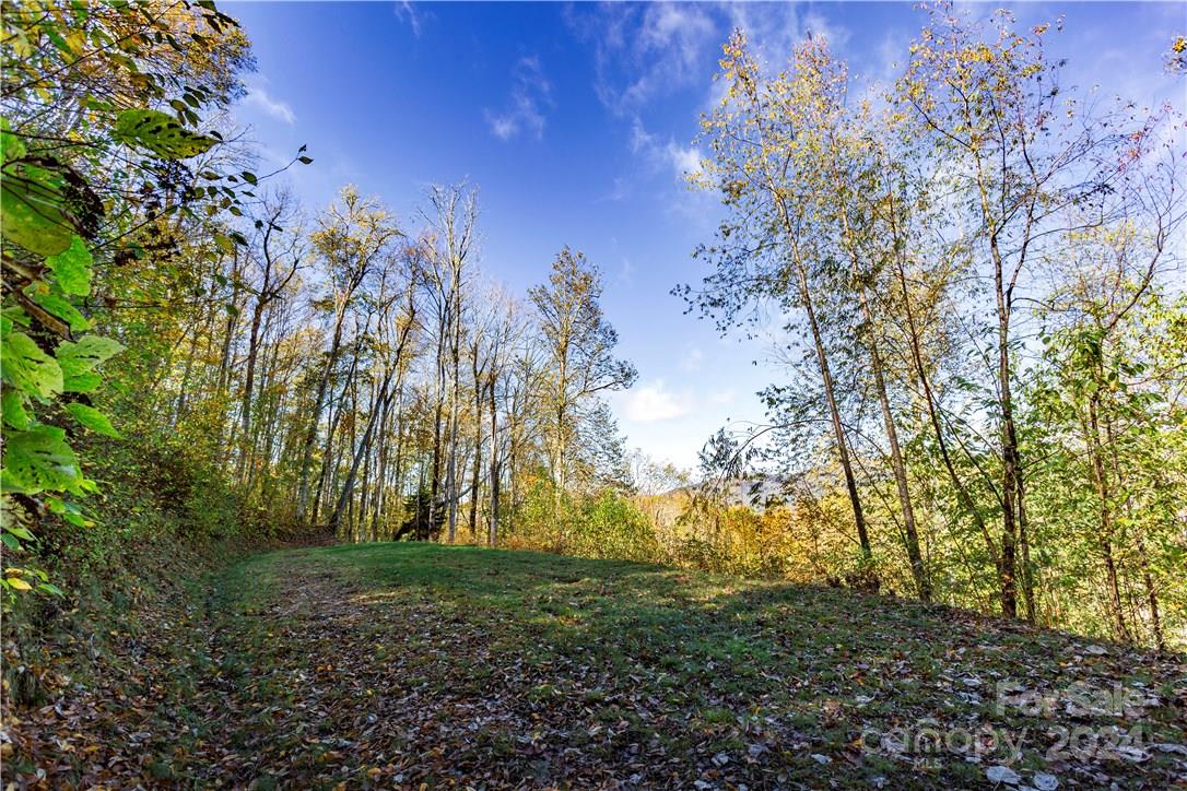 Black Rock Creek - Land