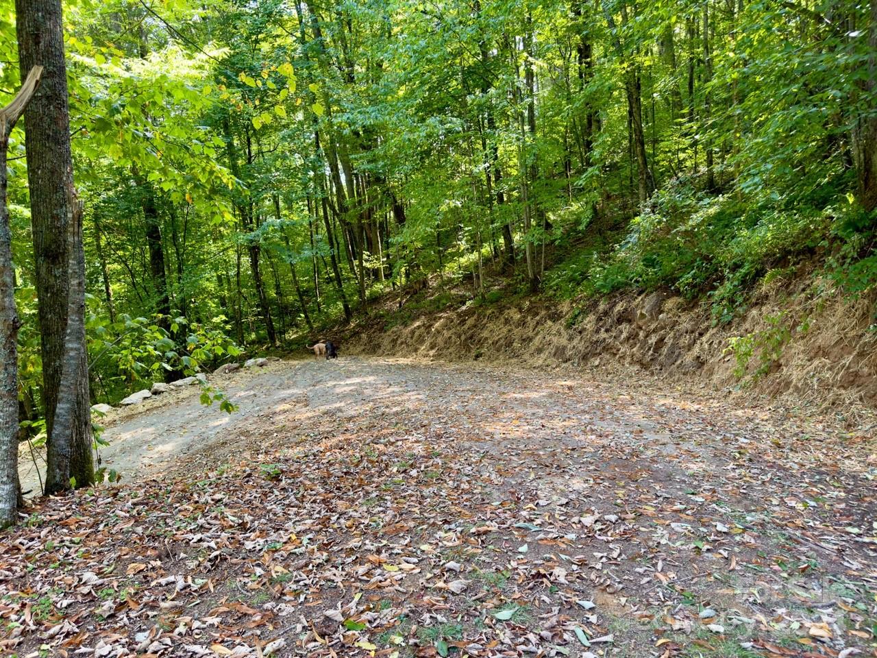 0000 Big Spring Trail 65