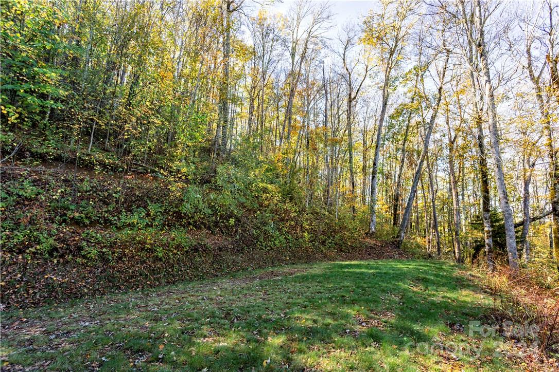 Black Rock Creek - Land