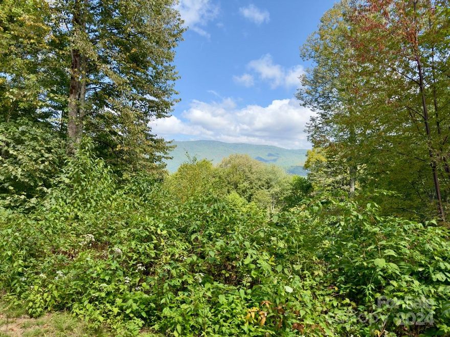 Fabulous mountain view and a high level of privacy yet easy to access. Newly graded and improved driveway in place leading to a fantastic build site. Lovely natural setting featuring native trees, plants and wildlife. Black Rock Creek Community is WNC's hidden gem. Located only 6 miles from Harrah's Casino and the city of Cherokee. Be a part of the growing opportunity with this unique property. OWNER FINANCING AVAILABLE.