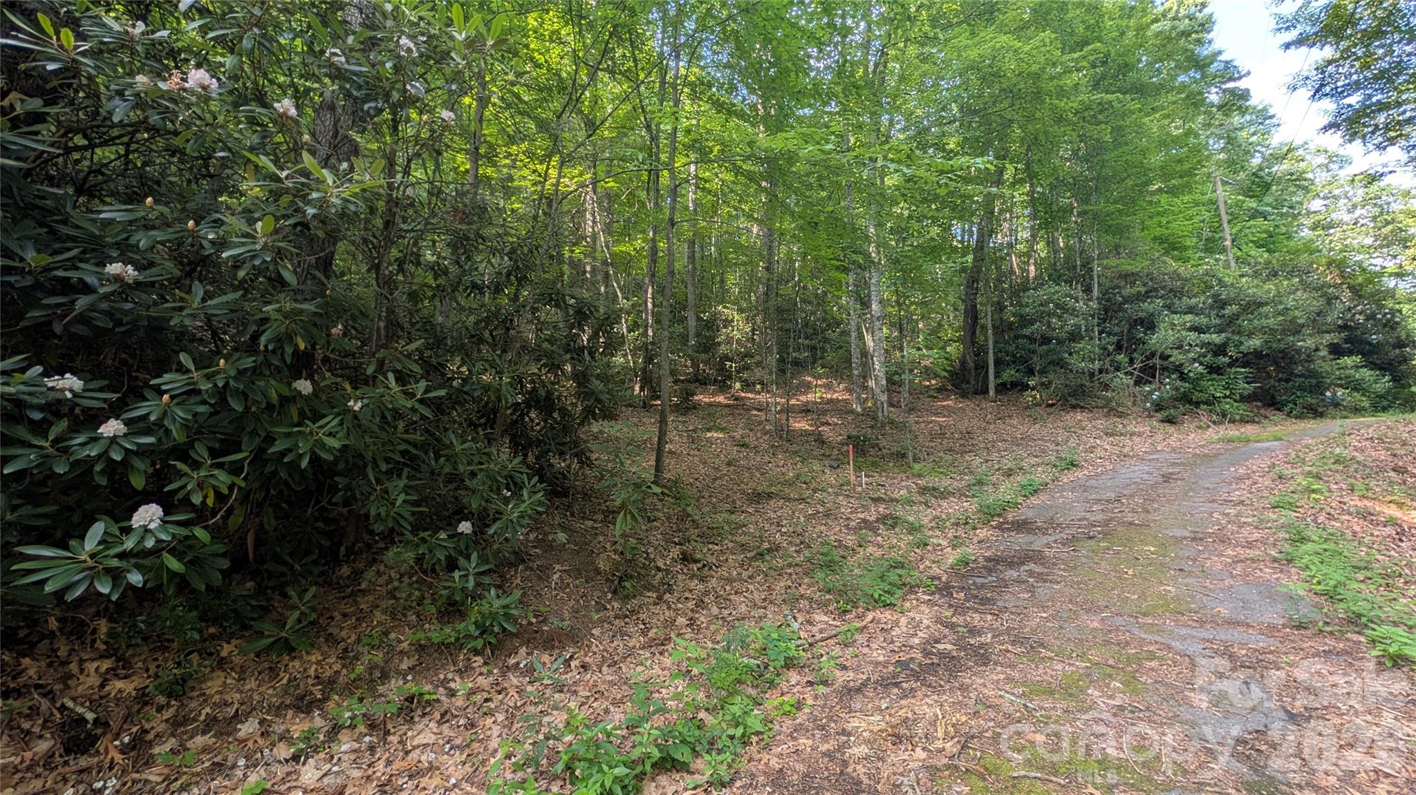 00 Chestnut Walk 3,4,5