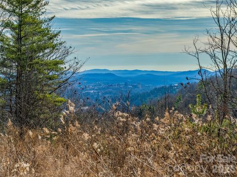 10 Villa Nova Drive Asheville NC 28804