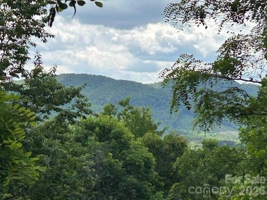 AZULE RIDGE DR, BOSTIC, NC 28018 - Image bfa49467f20c0cb5533e2aa703f615ce/3260496079