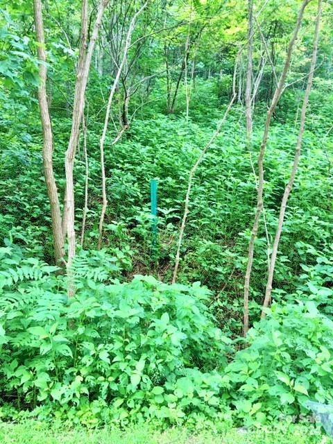 Brights Creek - Land