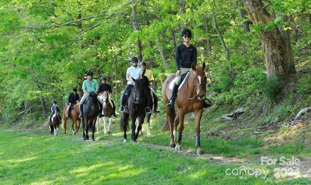 Brights Creek - Land