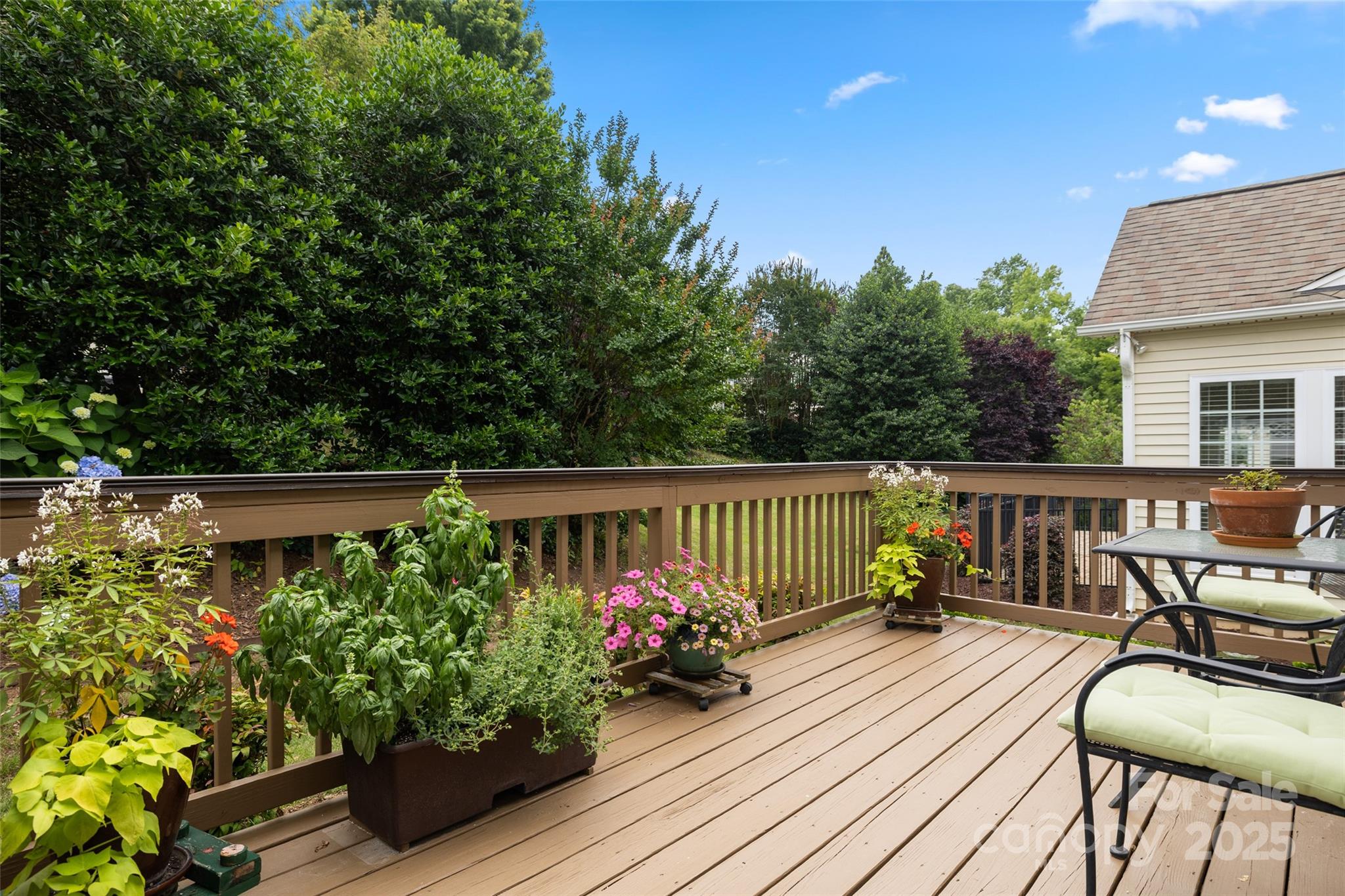 56113 Finches Court