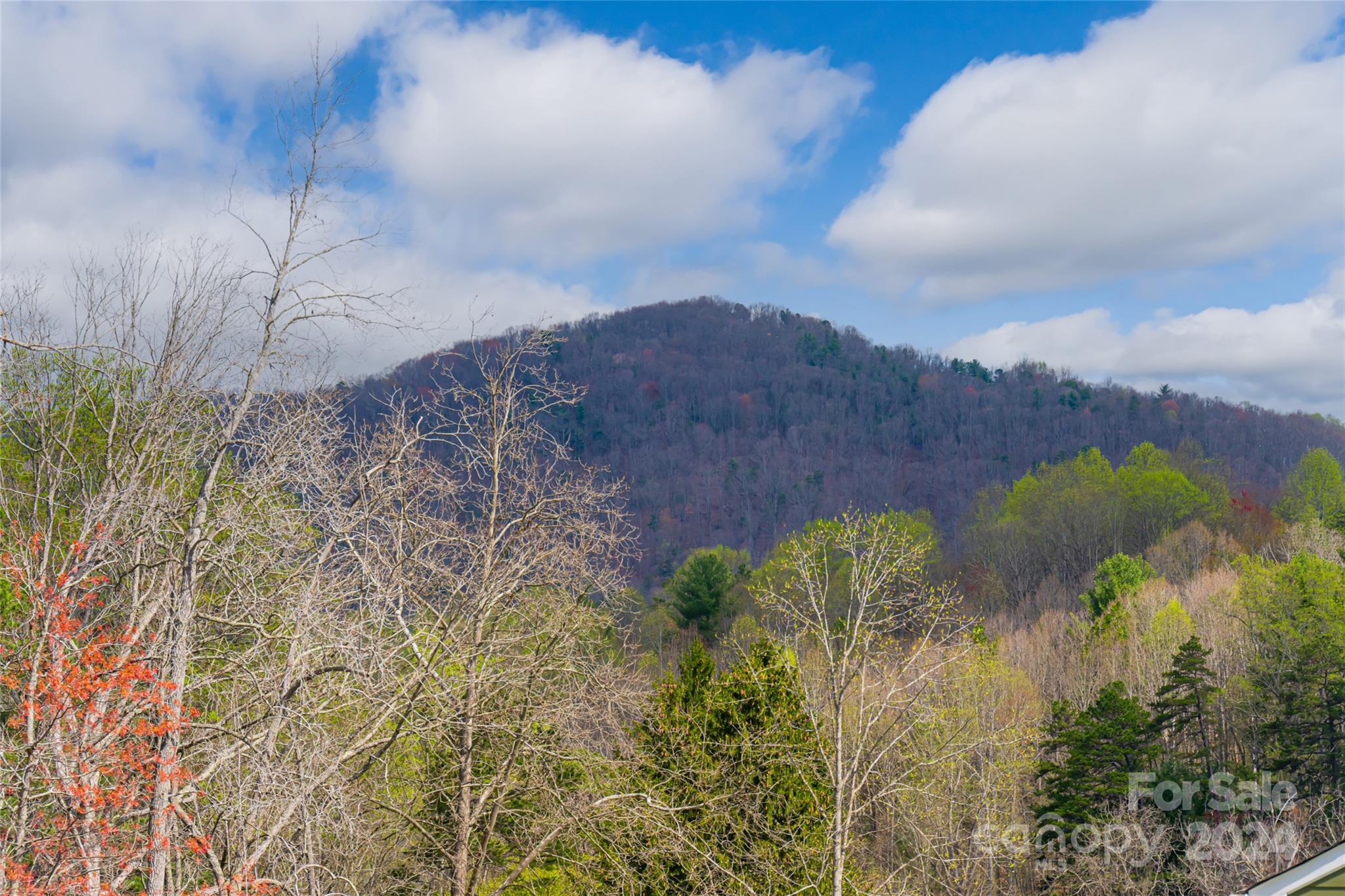 Holbrook Village - Residential