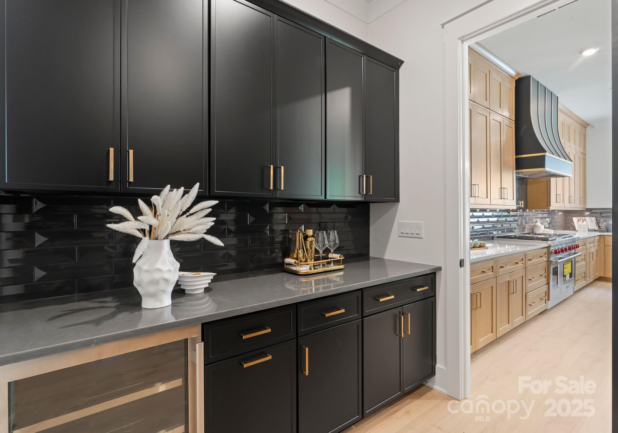 The Bluffs at Wesley Chapel - Residential