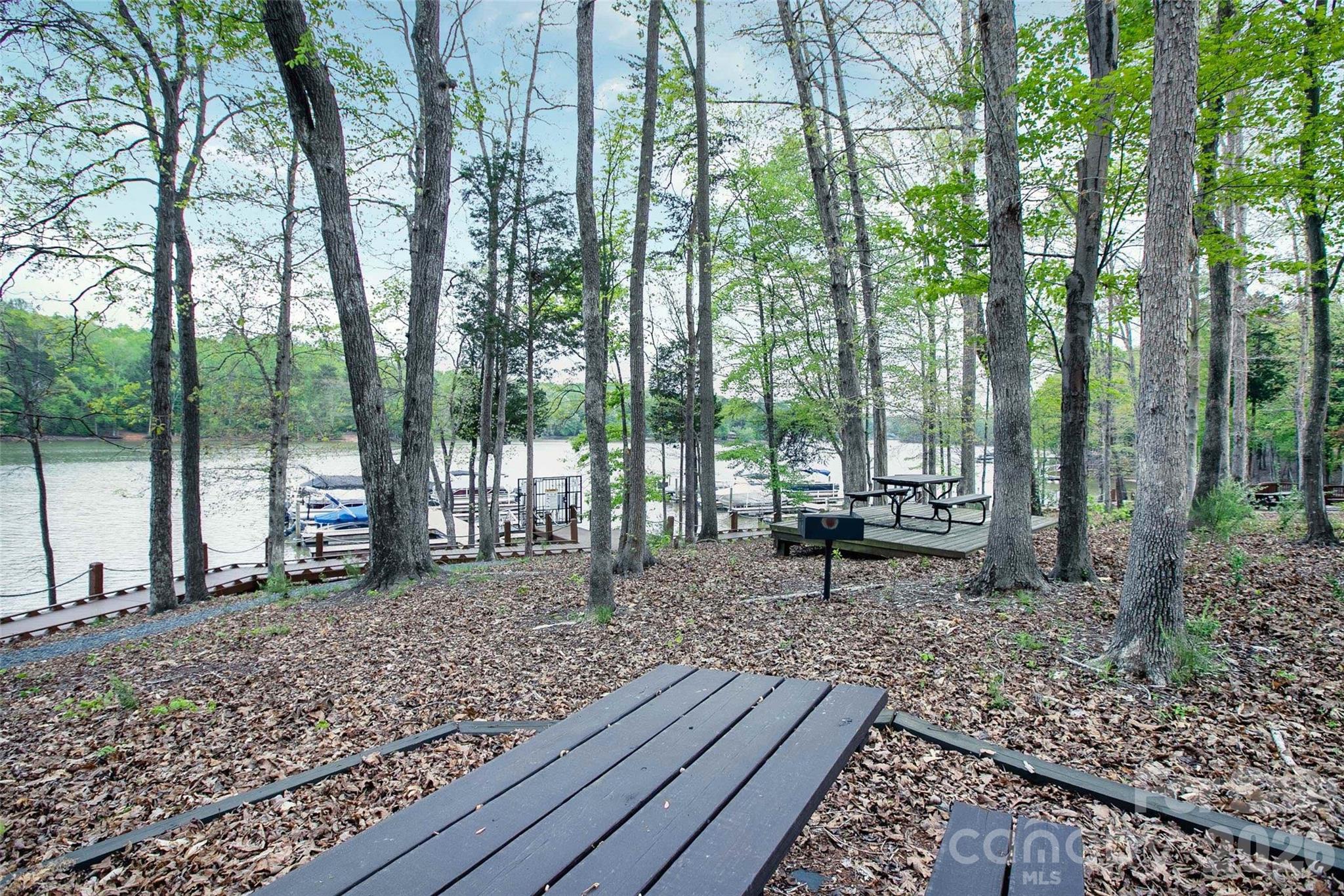 The Vineyards on Lake Wylie - Residential