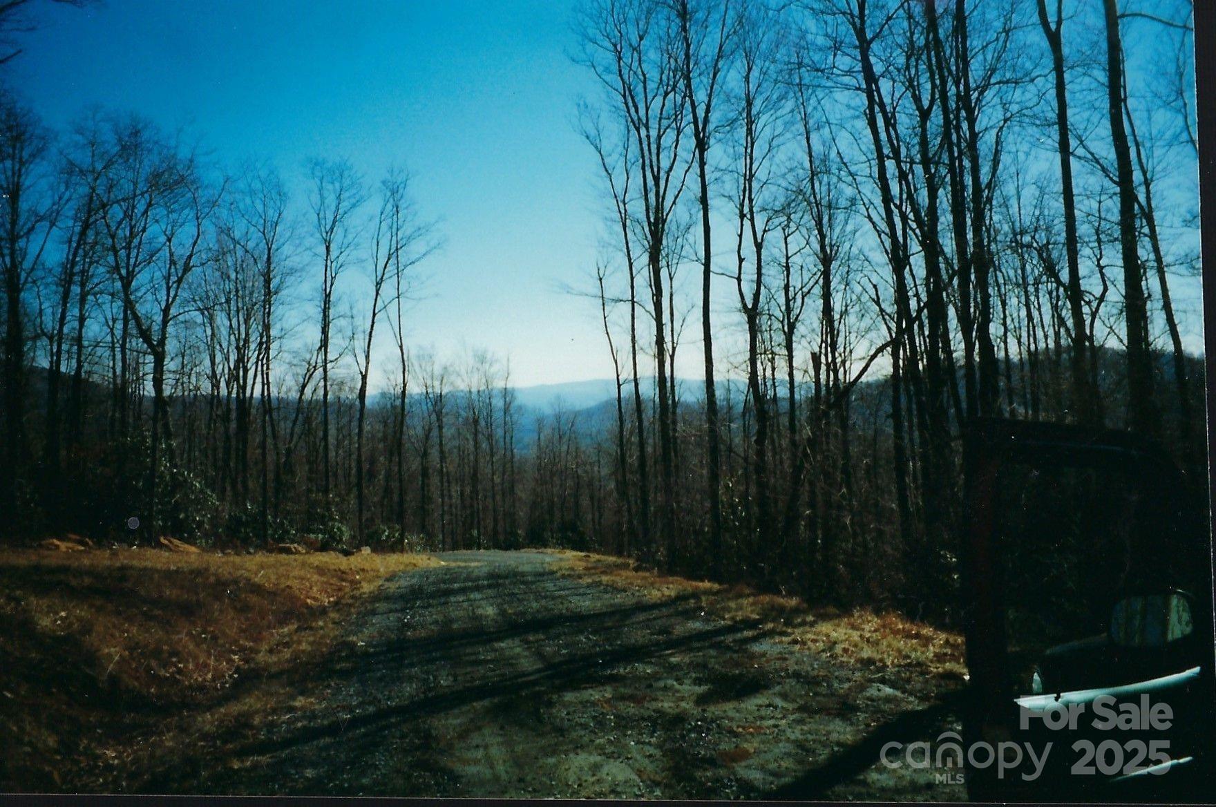 Lot #35 Damselfly Court