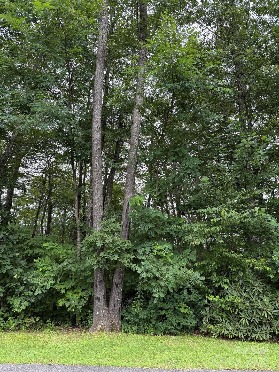 Mountain Brook Estates - Land