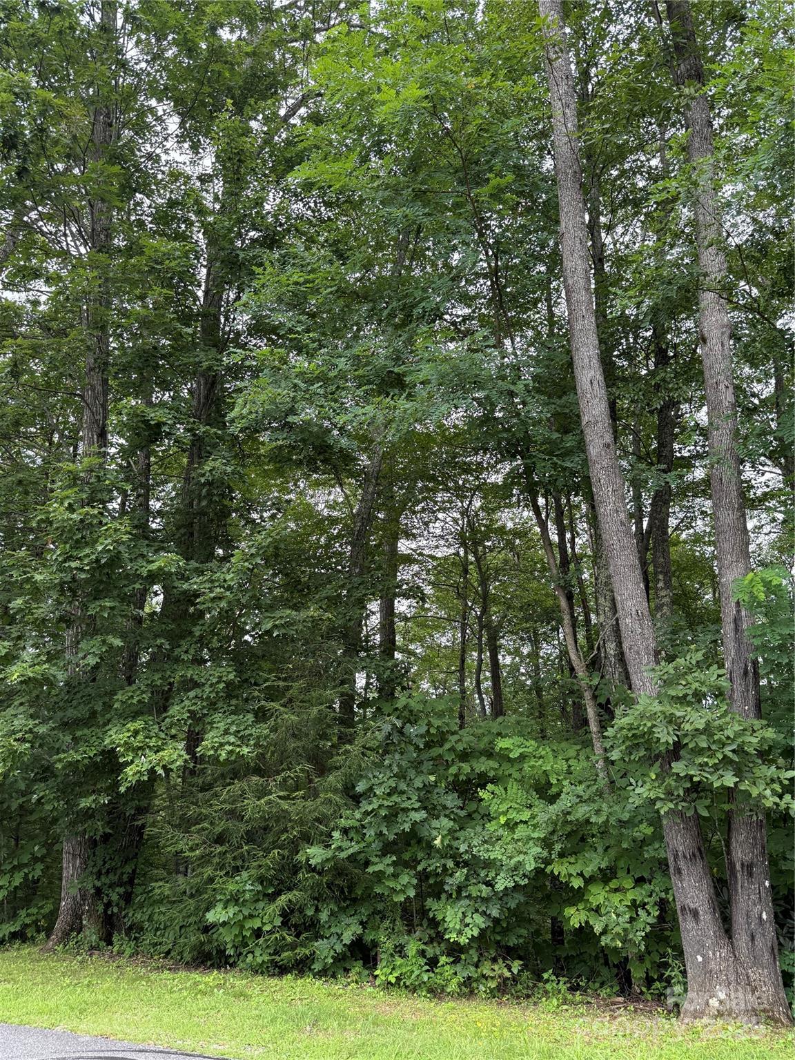 Mountain Brook Estates - Land