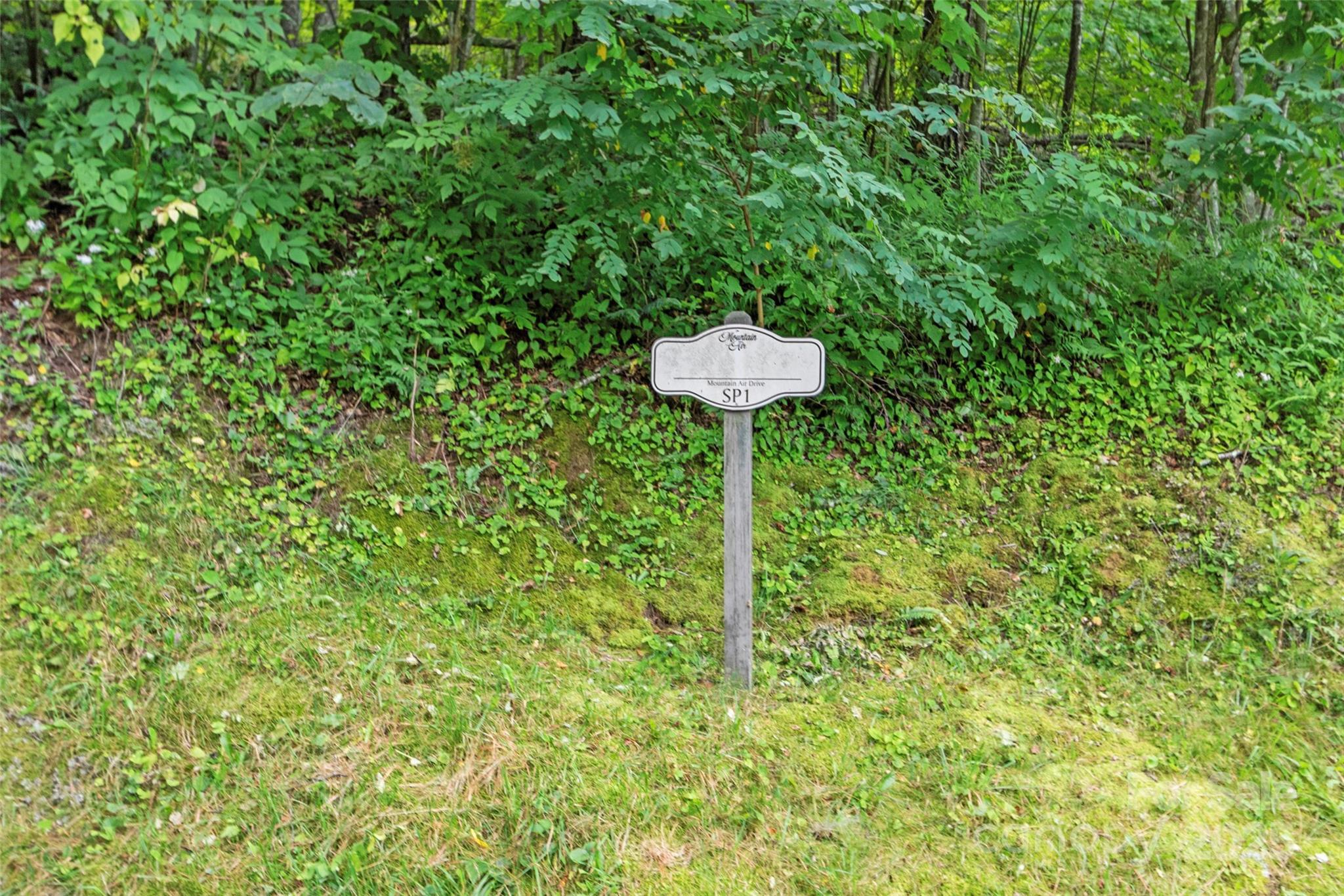 Special Parcel 1 Mountain Air Drive