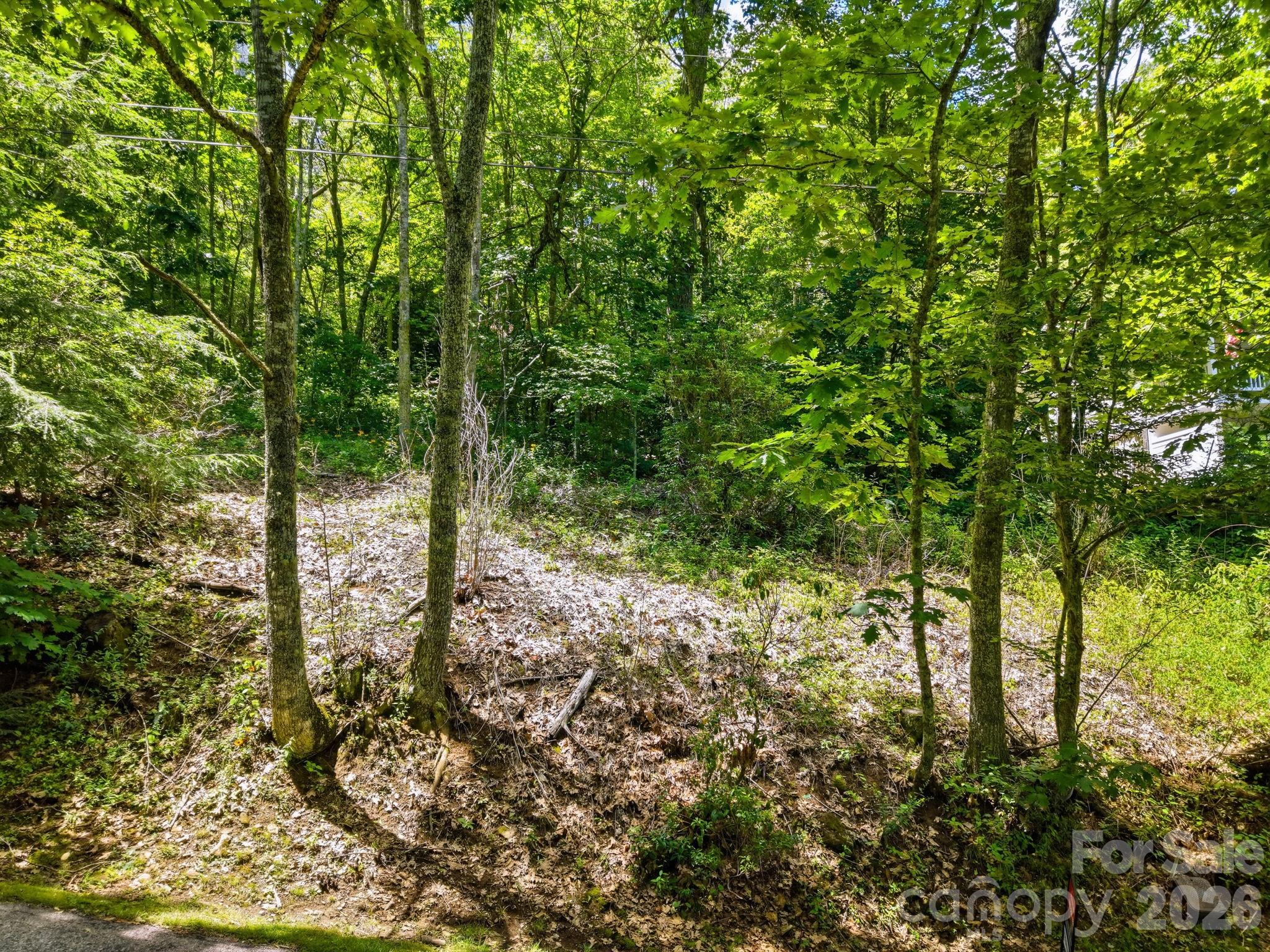 0 Eagles Nest Road 5
