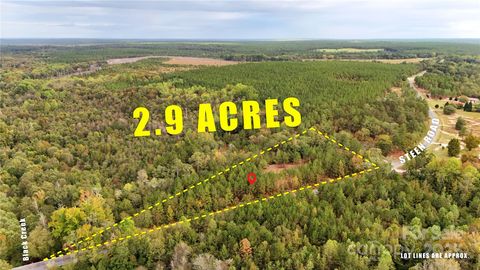 Photo of 00 Steen Road, Mount Croghan, SC 29727 (MLS # 4311581)