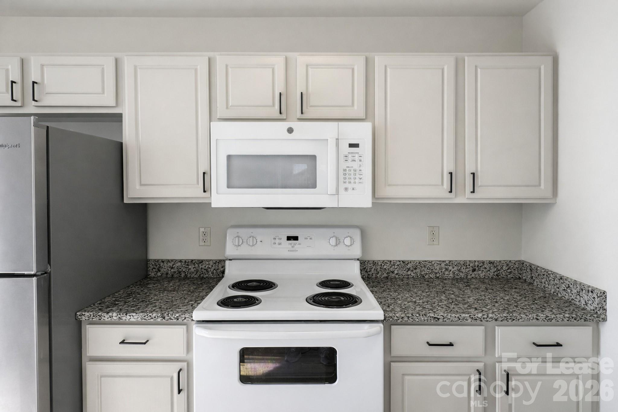 3707 Silver Ore Lane