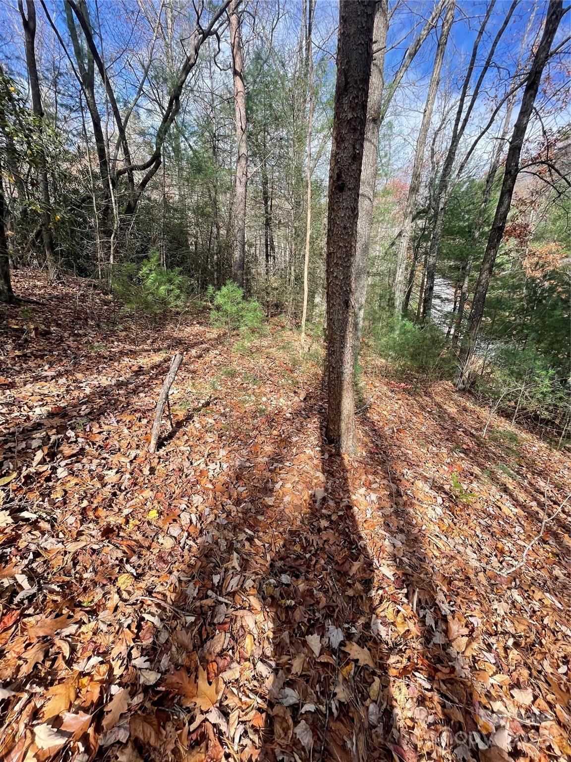 Pinnacle Falls - Land