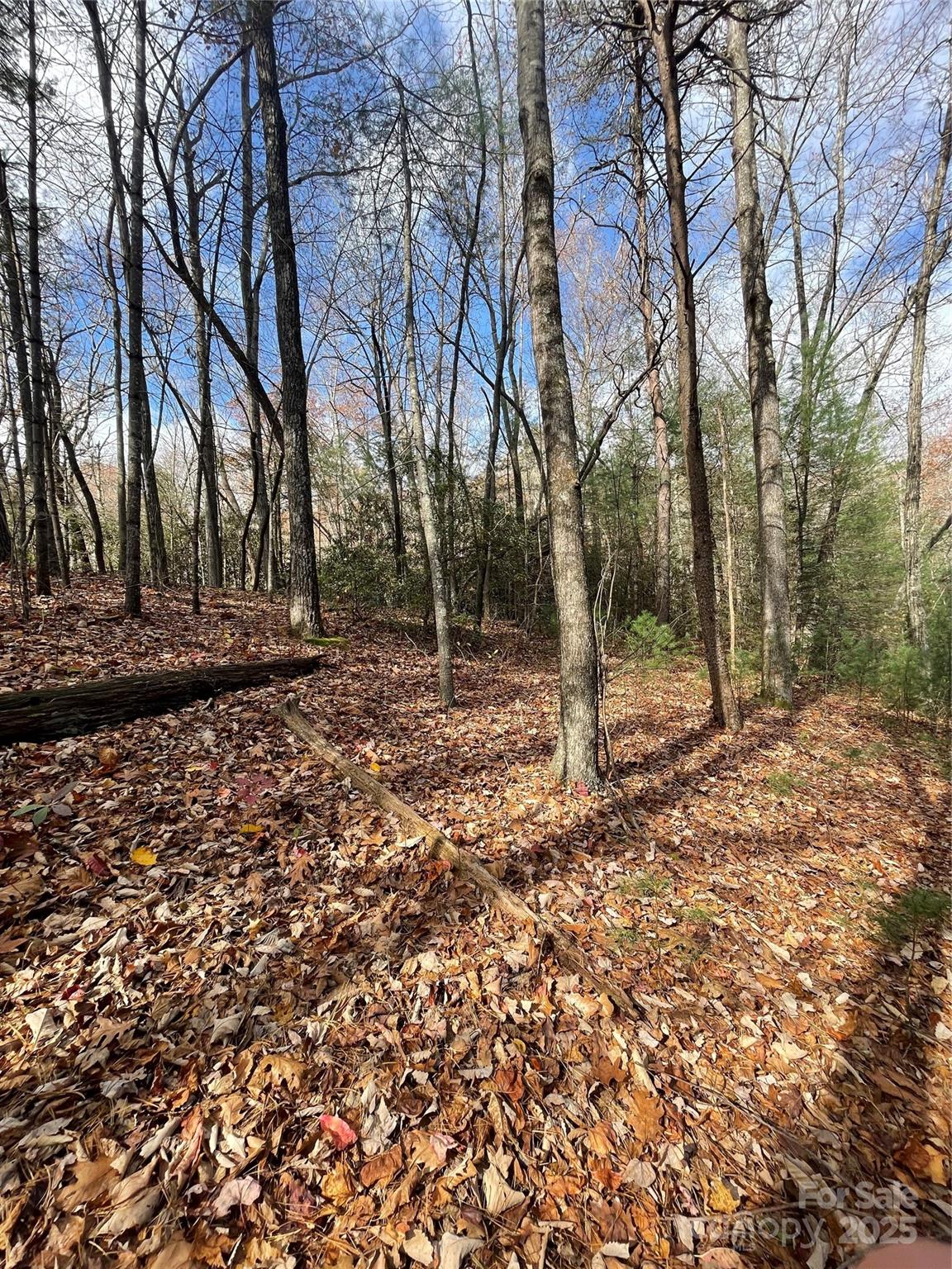 Pinnacle Falls - Land