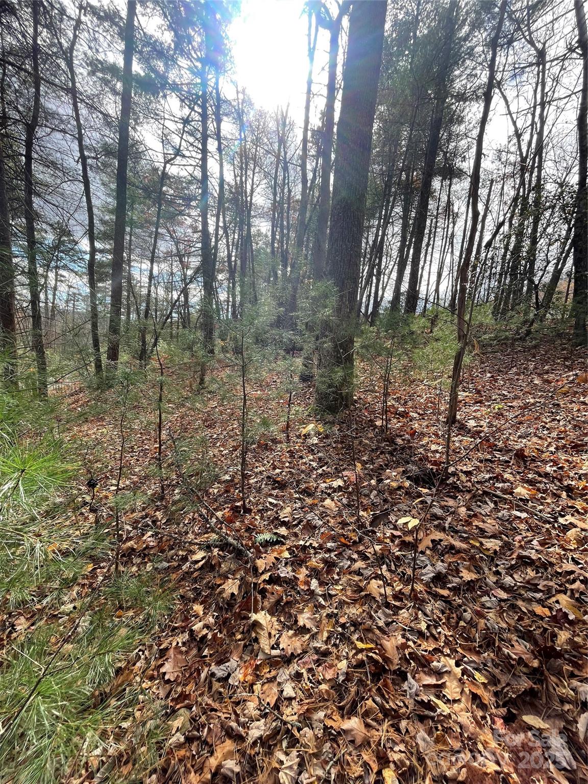 00 Pinnacle Falls Lane