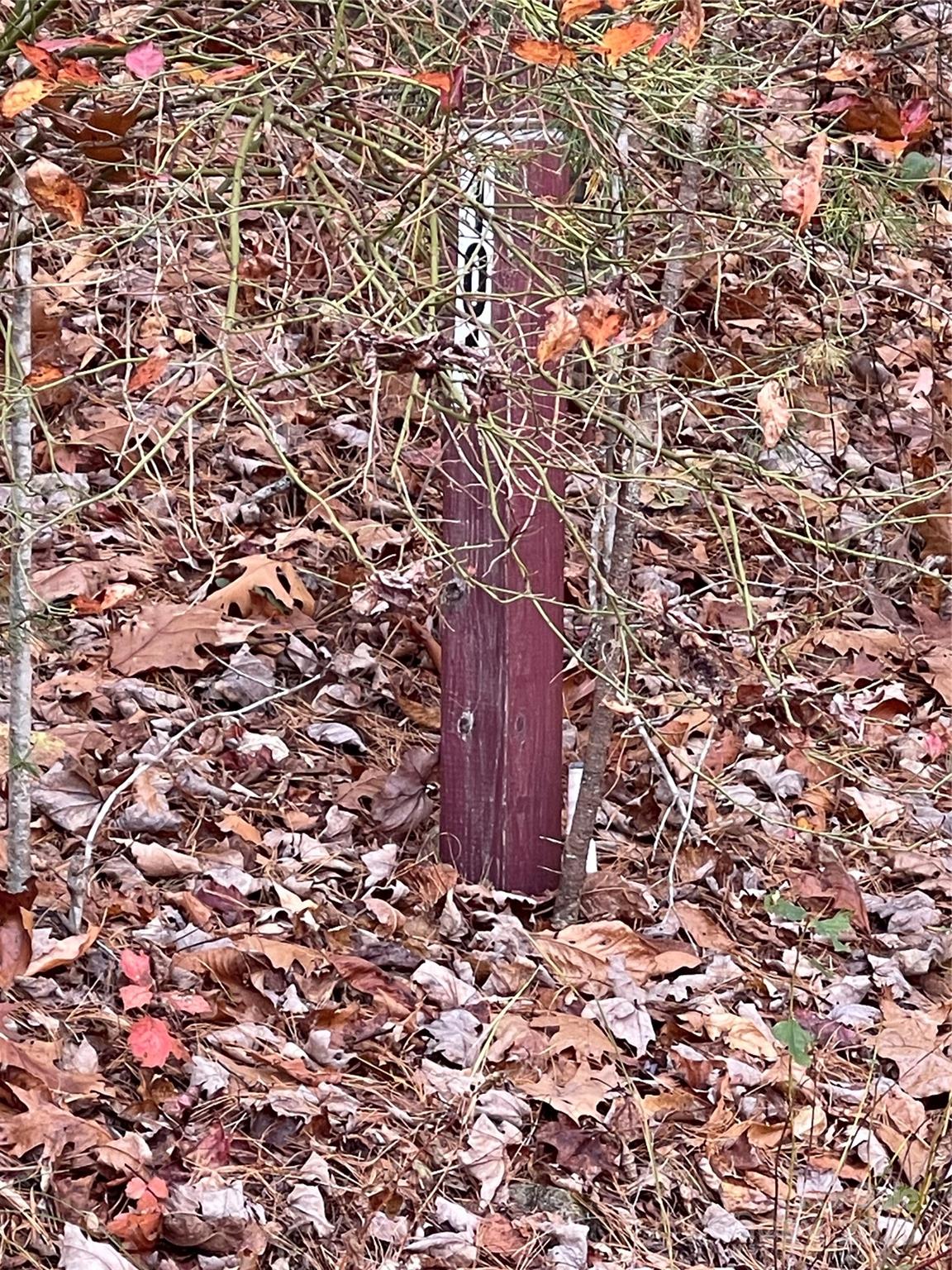 00 Pinnacle Falls Lane