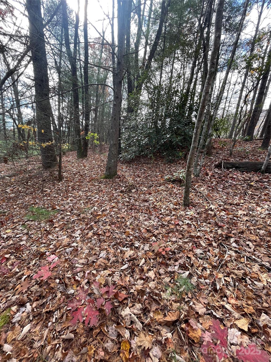 Pinnacle Falls - Land