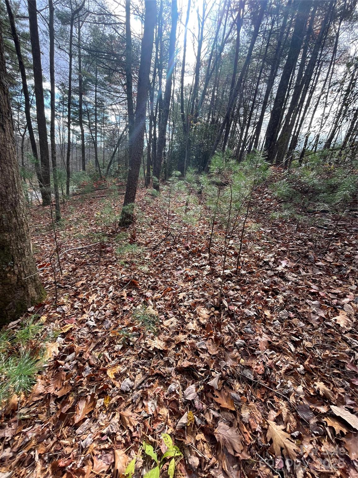 00 Pinnacle Falls Lane