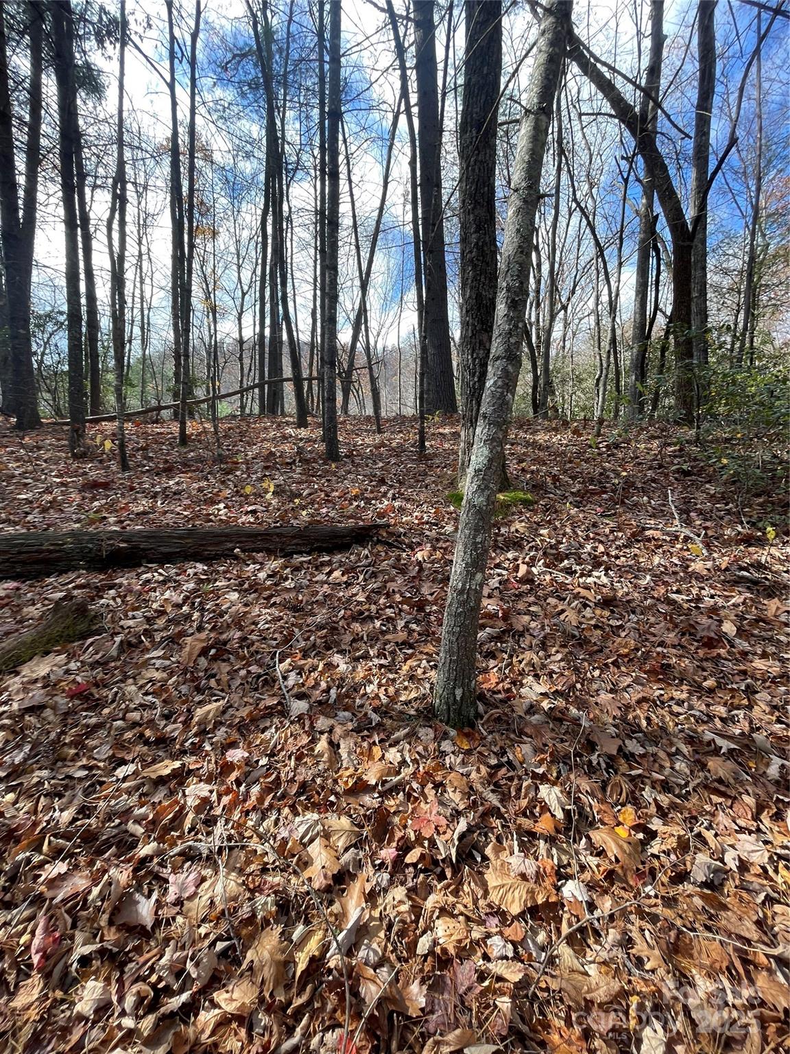 Pinnacle Falls - Land