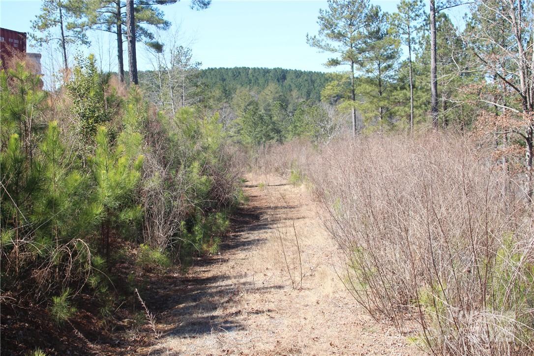 Island Pointe at Lake Vistas - Land