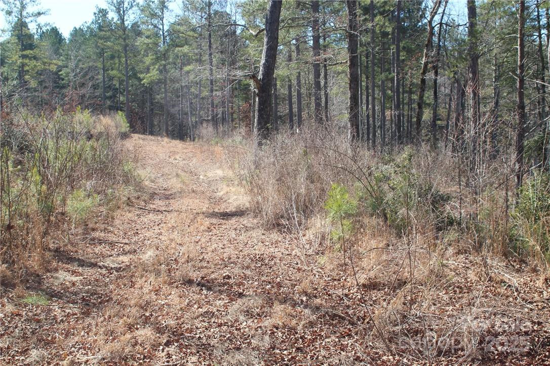 Island Pointe at Lake Vistas - Land
