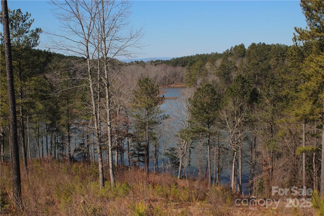 Island Pointe at Lake Vistas - Land
