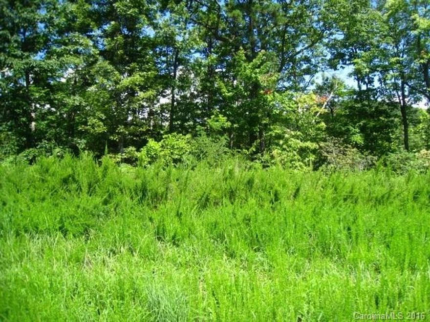 NOW UNDER CONTRACT - NO MORE OFFERS - Grey Rock at Lake Lure is a stunning mountainous community in the foothills of the Blue Ridge Mountains. Winding Roads, Long Range Views, CASH only. Offer is subject to investor approval. Bank of America associates, household members or business partners prohibited from purchasing