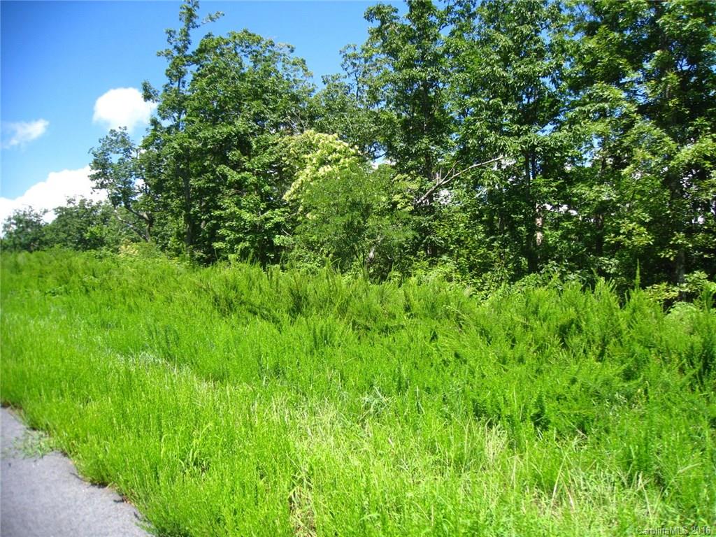 Grey Rock at Lake Lure - Land