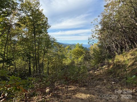 Photo of 345 Cardinal Bluff Drive, Whittier, NC 28789 (MLS # 4327669)