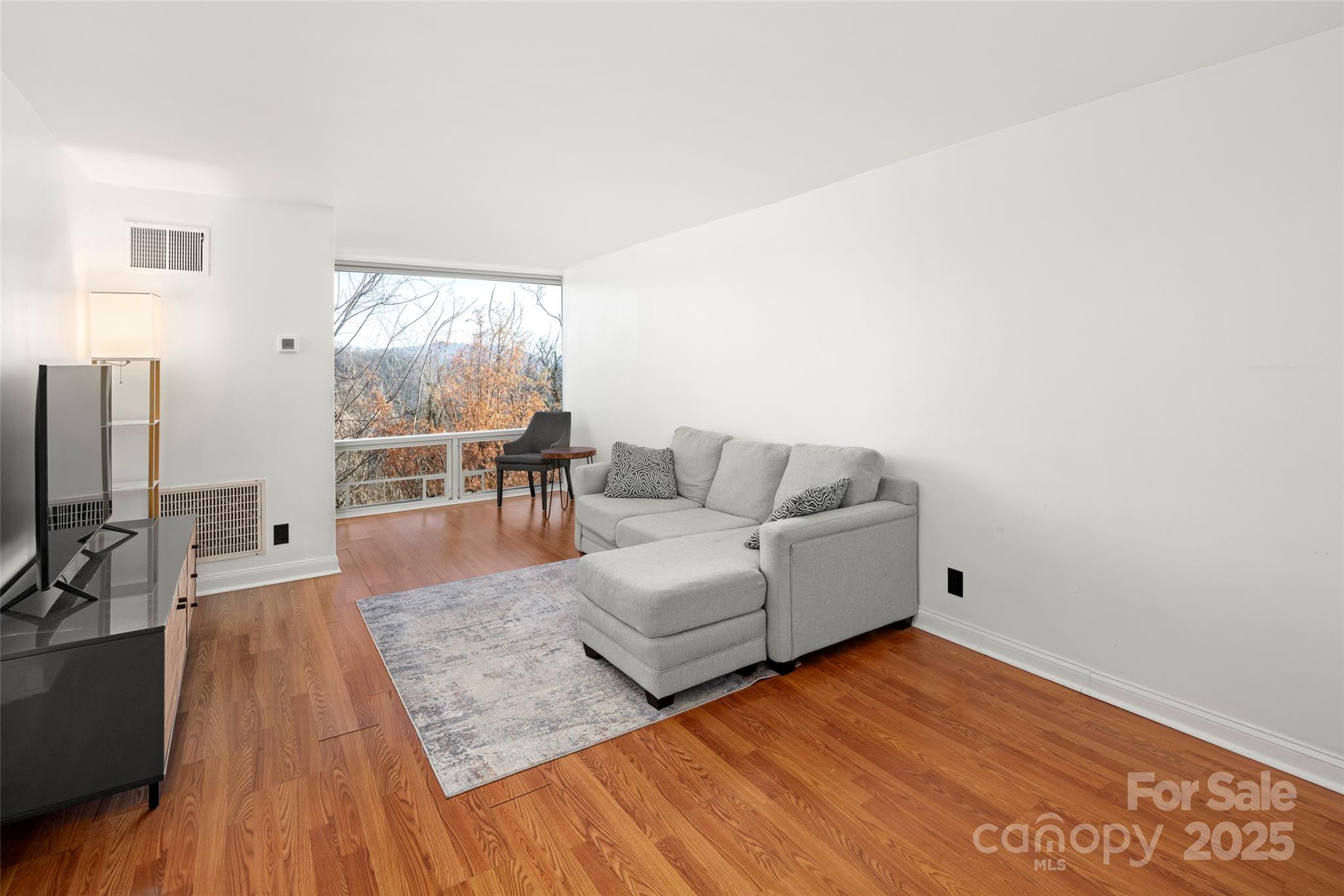 647 Town Mountain Road 209