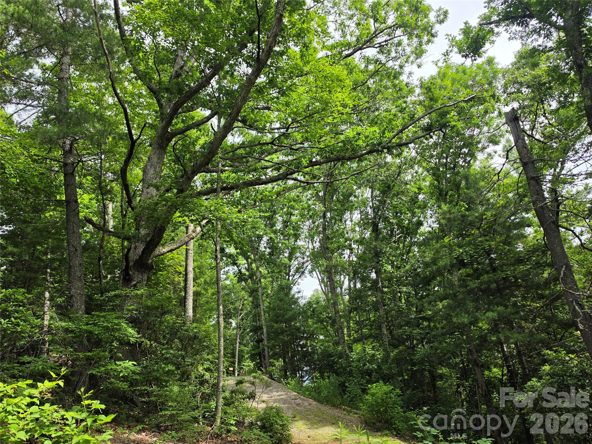 9999 Fairview Forest Drive