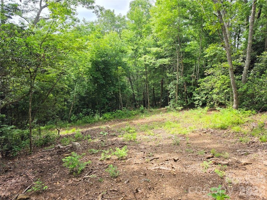 FAIRVIEW FOREST DR, FAIRVIEW, NC 28730 - Image c025bf4b78a568fb81ccd236b447ee2f/1979079286