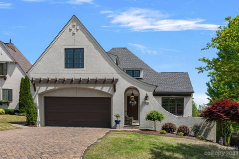 Photo of 13545 Grand Palisades Parkway, Charlotte, NC 28278 (MLS # 4019535)