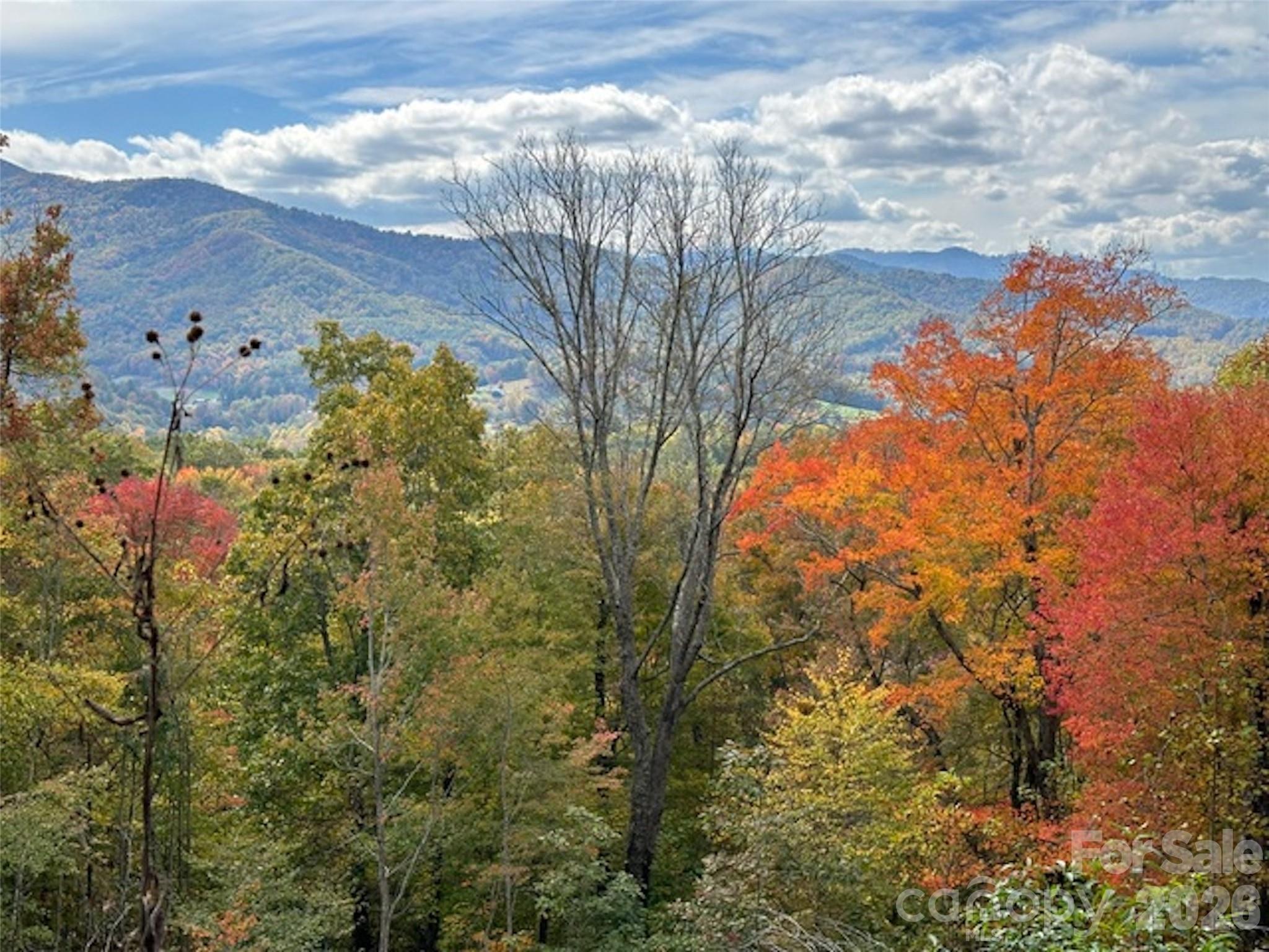 001 Shoal Pond Cove