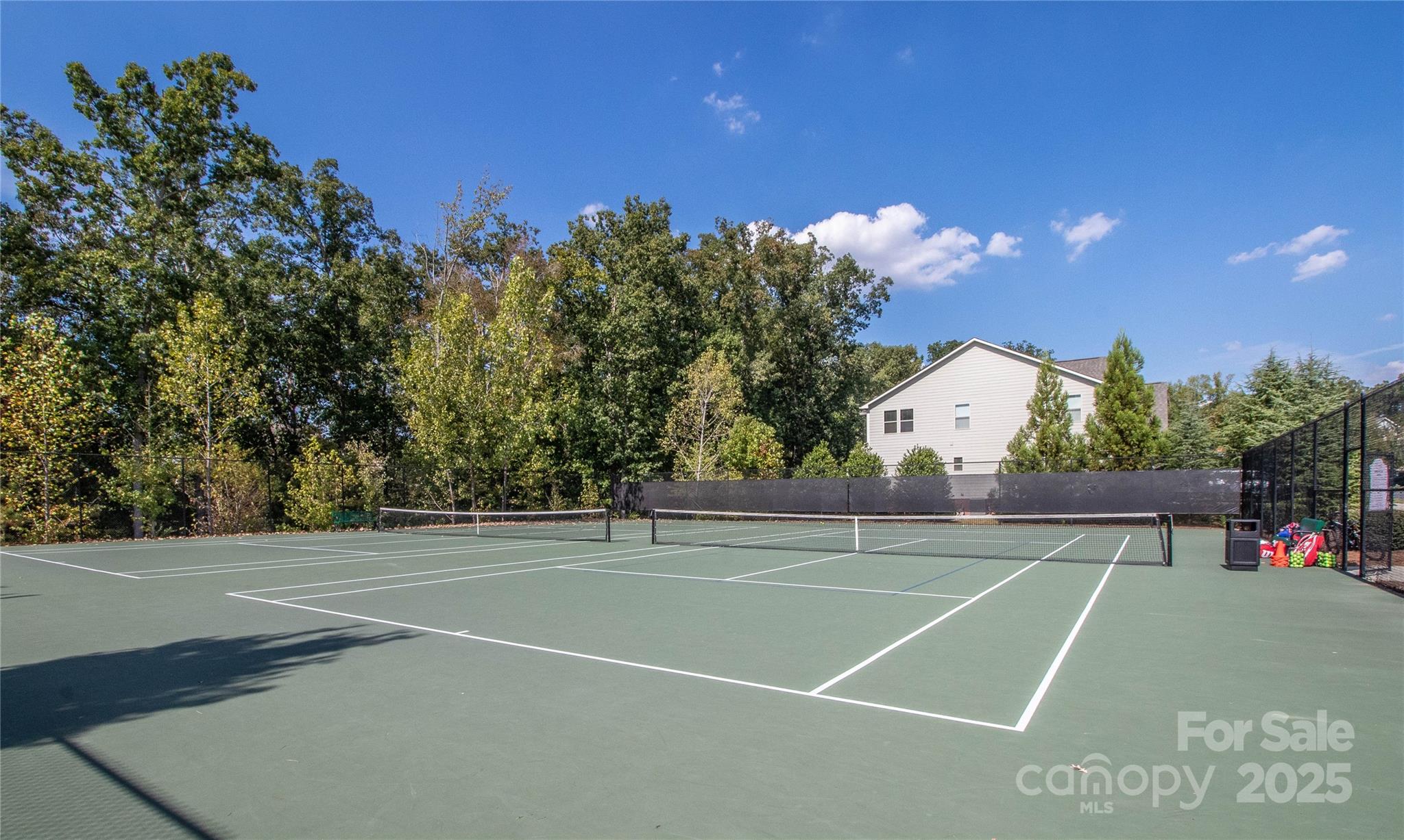 The Manors at Lake Ridge - Residential