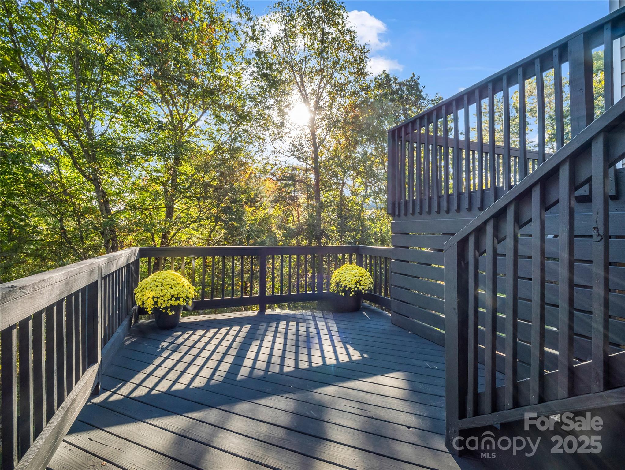 Morning Star Estates - Residential
