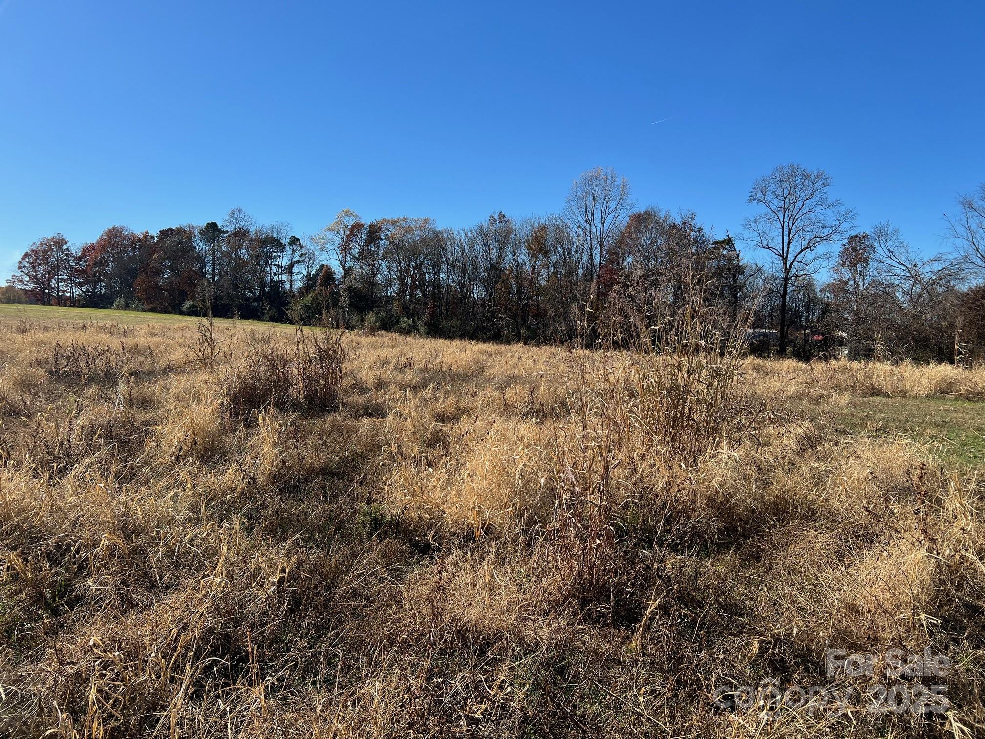 Village at the Mills - Land