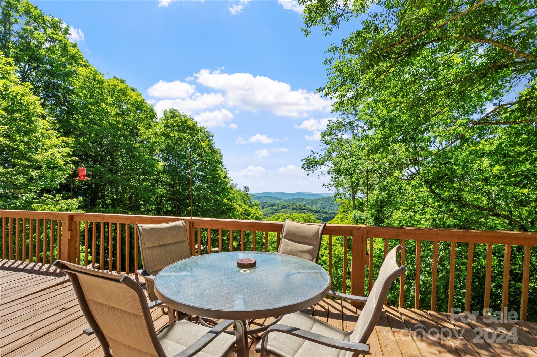 894 Mckinney Gap Drive