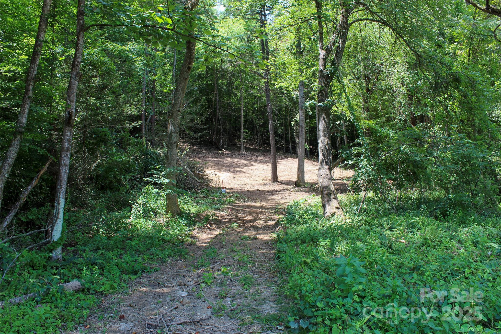 9999 Gabriels Creek Road 42