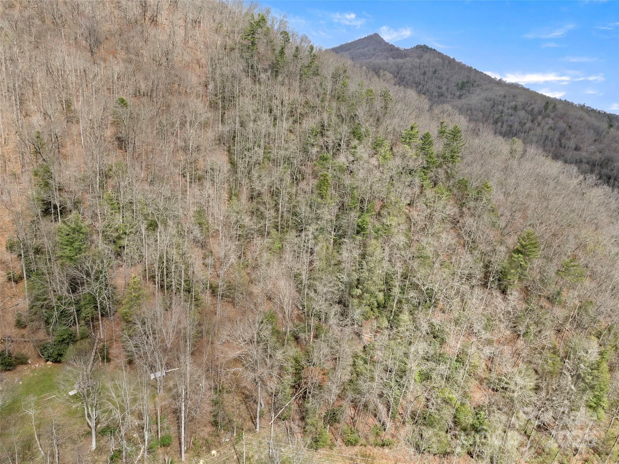 9999 Panther Creek Road B