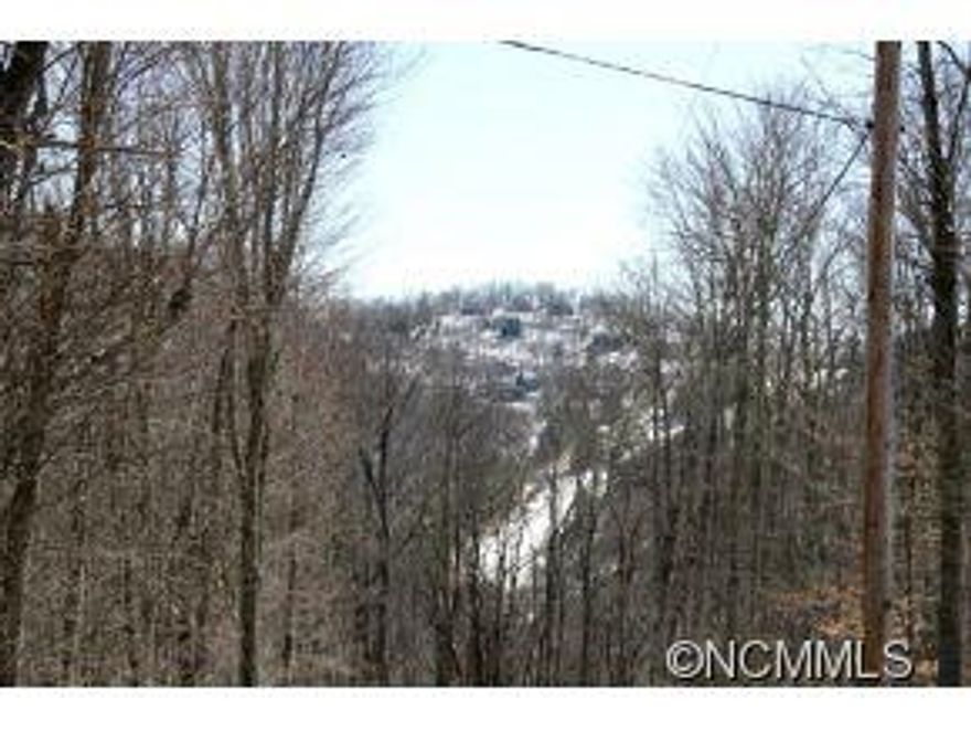 Adjoins Nat Forest, This is a very gently sloped building lot that faces South for all day sunlight, w/ easy terrain & multiple, sunny home sites for easy driveway and building costs, and could be a gardener's paradise, Neighborhood is quiet, with a handful of newer homes, ski slope views and wooded mountain views. Located less than 0.5 miles from pavement, in a quiet neighborhood of newer homes & Hardwoods for Fall Colors.