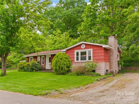 49 Caring Place Loop Clyde NC 28721