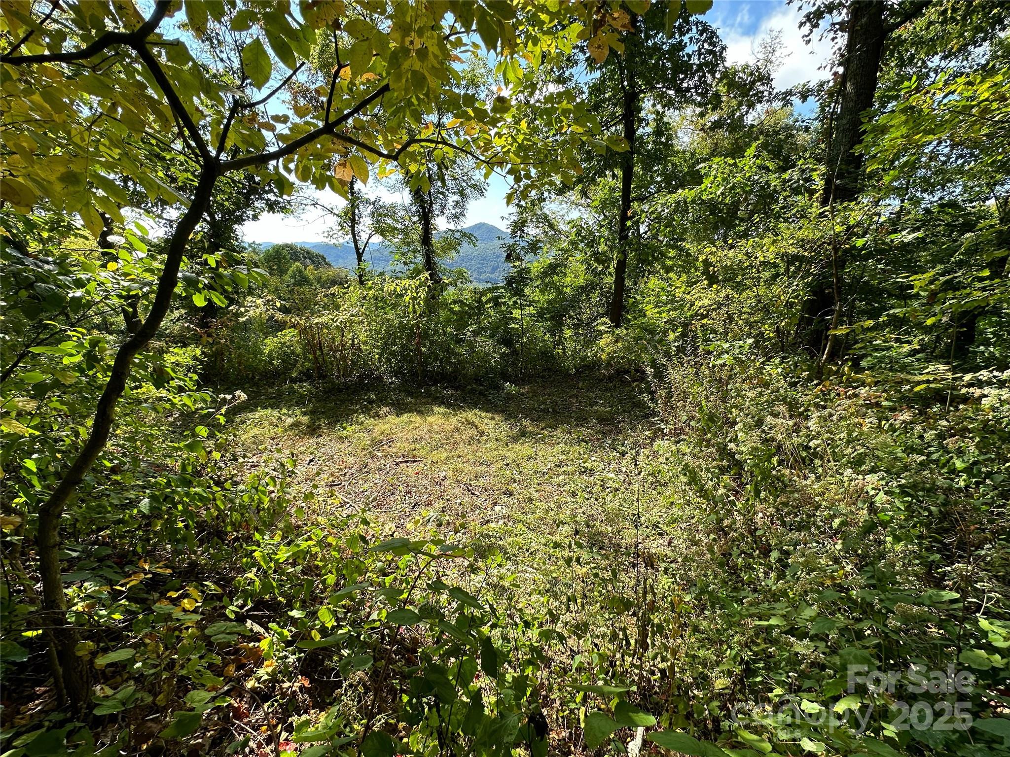 The Summit of Asheville - Land