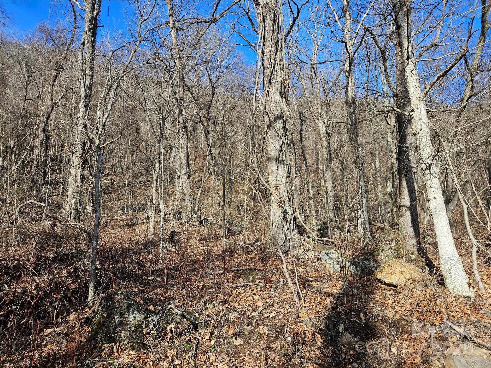 The Summit of Asheville - Land