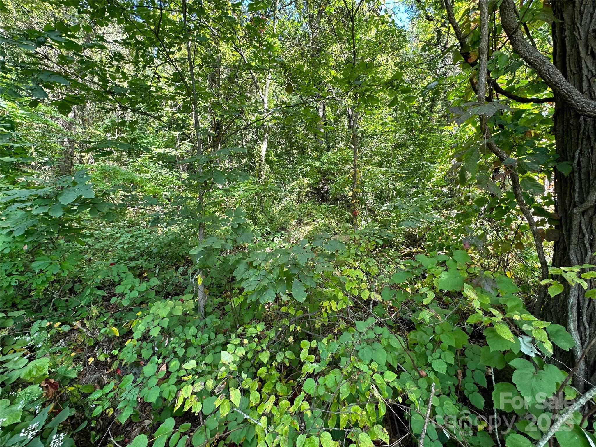 The Summit of Asheville - Land