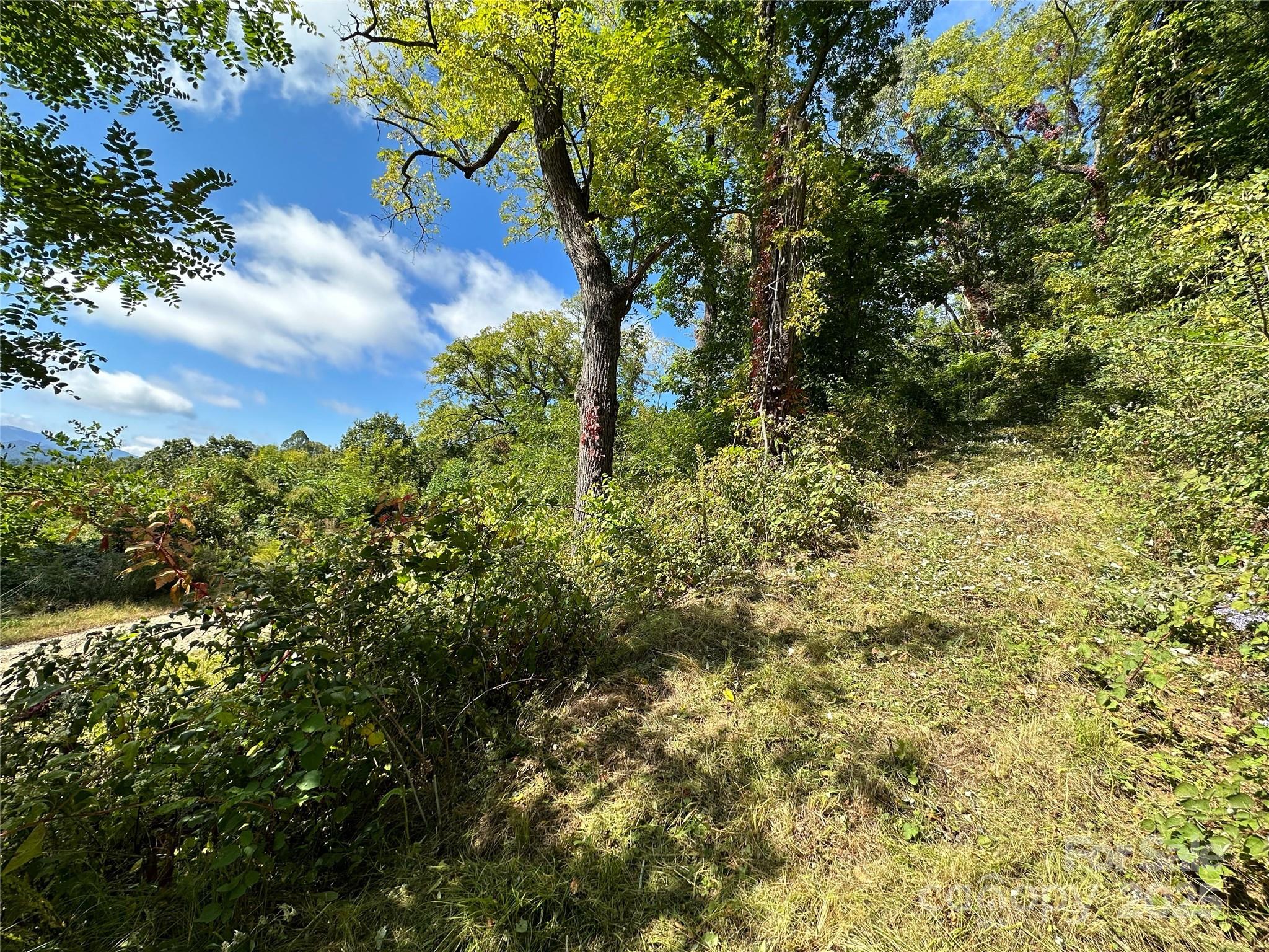 The Summit of Asheville - Land